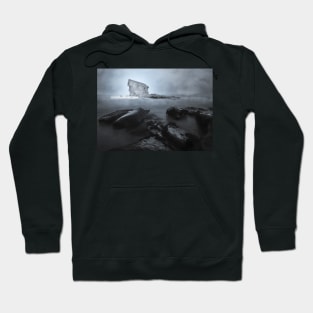 Charlies Garden Fine Art Hoodie